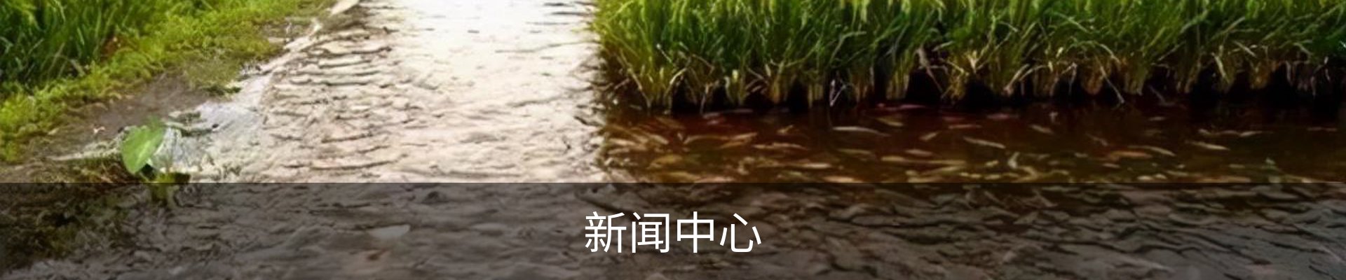 新闻中心